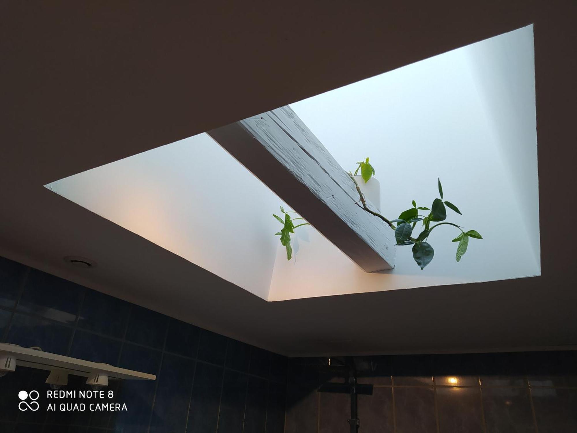 Gite Calme 4 Chambres, Terrasse Privative, Draps Inclus - Germonville - Fr-1-584-167 ภายนอก รูปภาพ